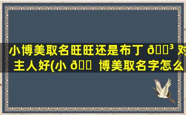 小博美取名旺旺还是布丁 🐳 对主人好(小 🐠 博美取名字怎么取好听)